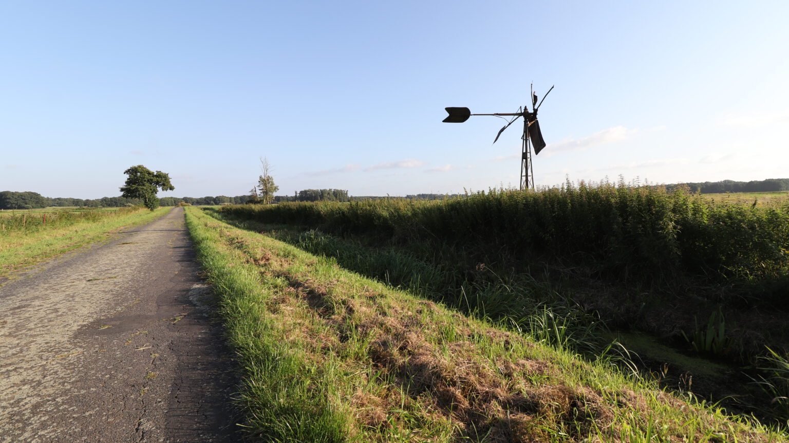 Wiepenkathen Postleitzahl